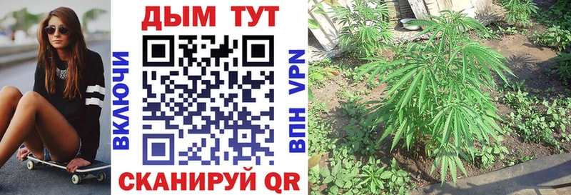 Купить наркоту Североуральск Конопля  МЕФ  Альфа ПВП  ГАШ  Кокаин 