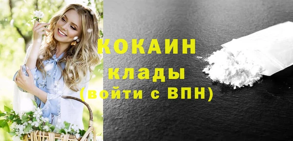 меф Арсеньев